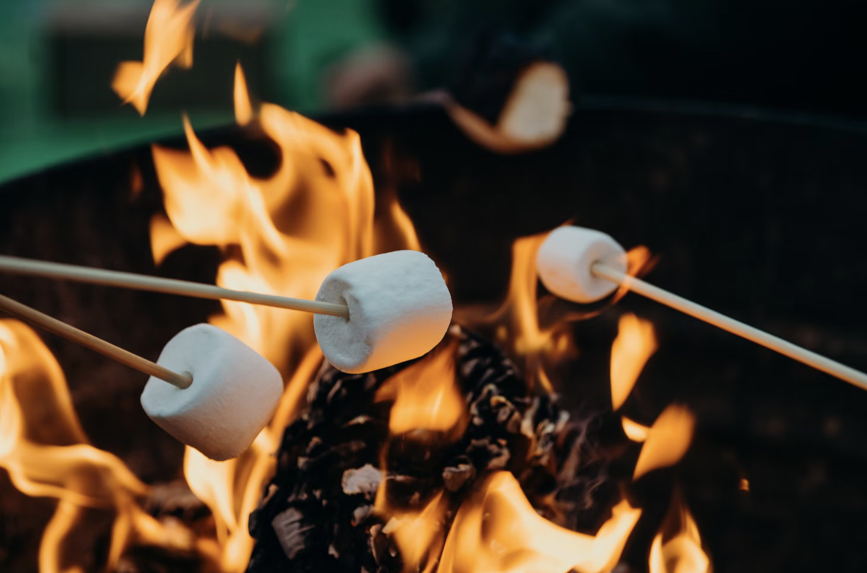 Marshmallows Roasting Over a Fire