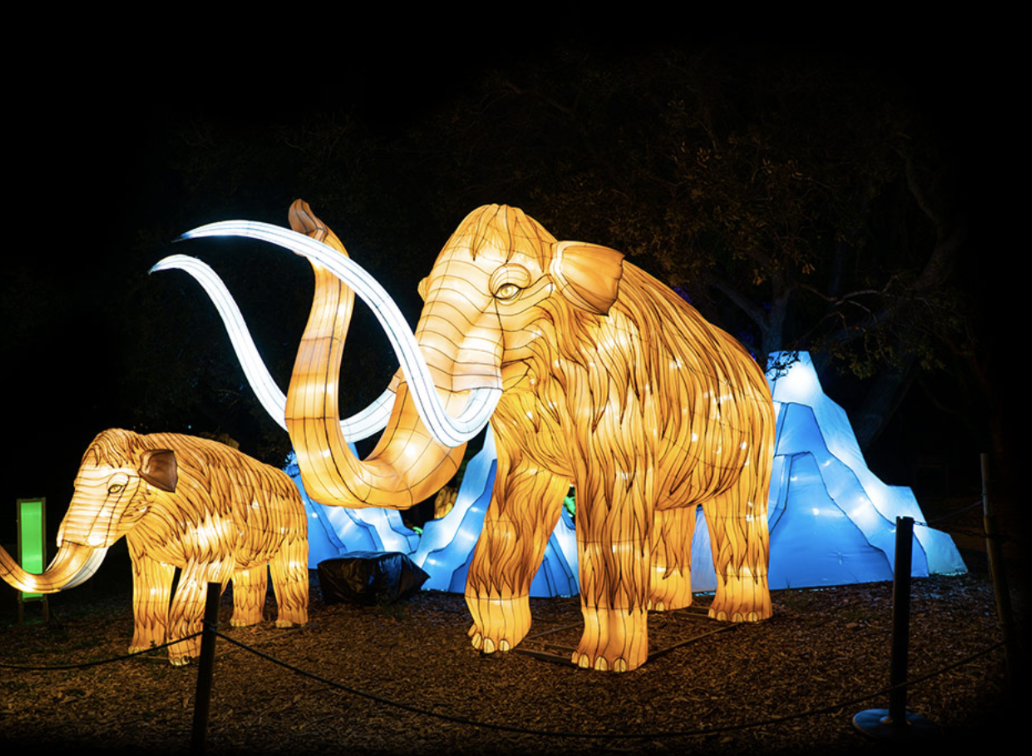 wildlanterns glowing animals