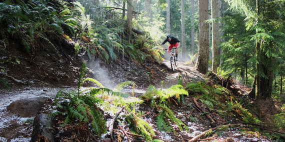 Person Biking on Tiger Mountain