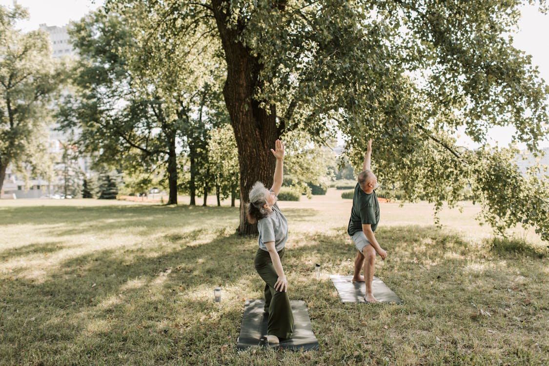 People immersing themselves in nature by doing outdoor yoga.