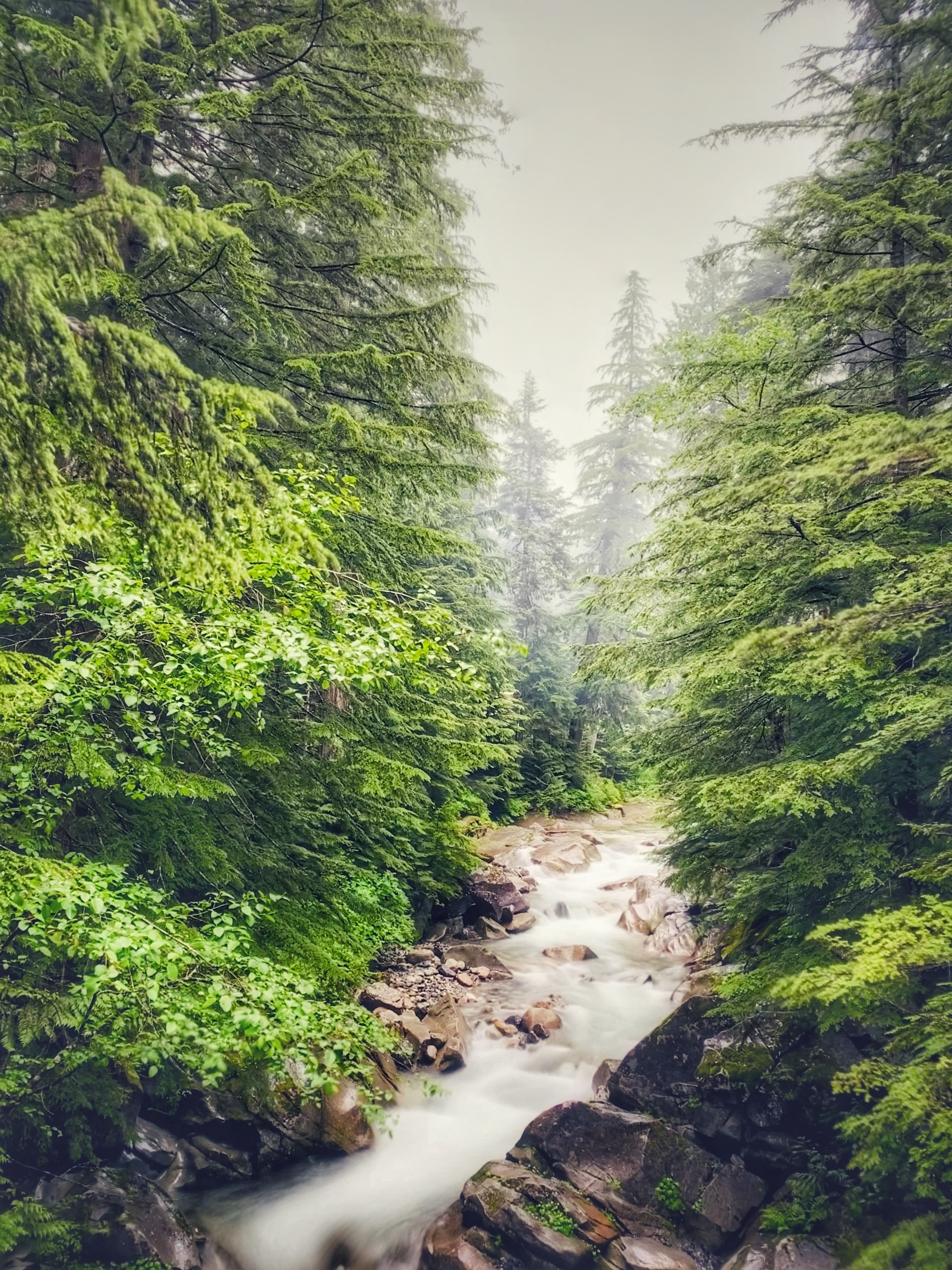 Snoqualmie National Forest